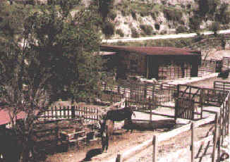 How the sanctuary looked in 1999