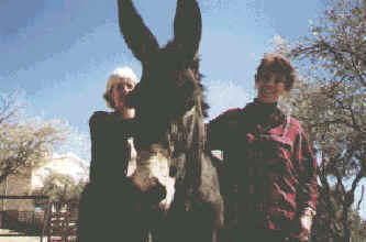 A Cyprus donkey with Mary Skinner and Kate Clerides
