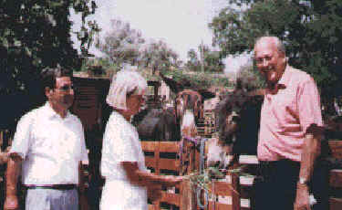 The donkeys in Cyprus are lovely