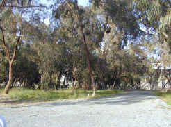 Larnaca did boast the wonderful beach side forest park campsite.