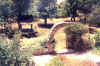 garden and arch at Pachna.JPG (45613 bytes)