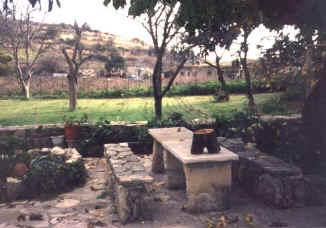 garden at Pachna.JPG (33043 bytes)