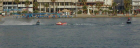 jet_ski_knocked_him_off.jpg (61739 bytes)