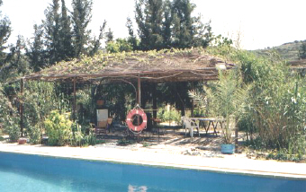 foto-palmengarten-pergola.JPG (51442 Byte)